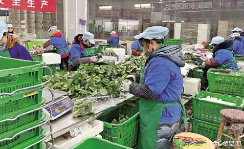 內地平價超市遭香港居民搶購，新鮮蔬菜零售何以成焦點？